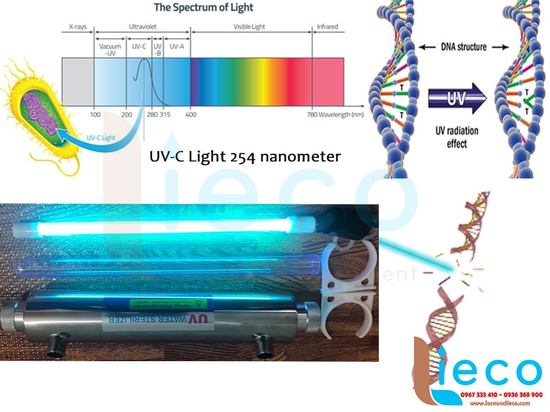 Nguyên lý hoạt động của tia UV tiêu diệt vi khuẩn